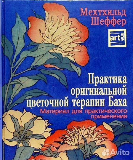 Мехтхильд Шеффер - Практика оригинальной