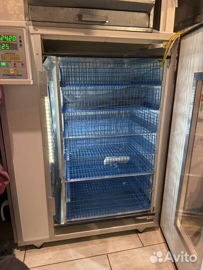 Инкубатор выводной бу