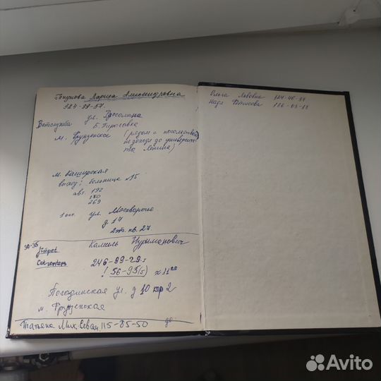 Кошки, коты, котята 1993 год