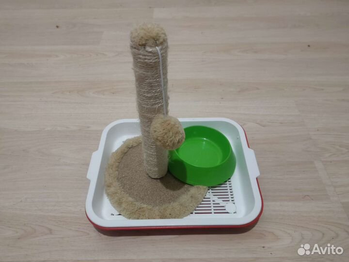 Лоток + миска +когтеточка новая для котенка
