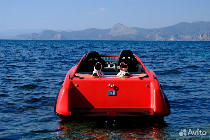 Катер / под заказ / River Jet