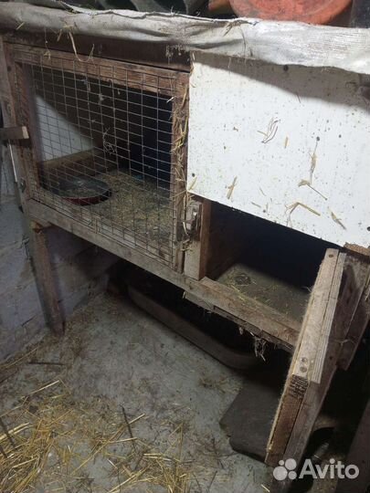Клетка для кролика