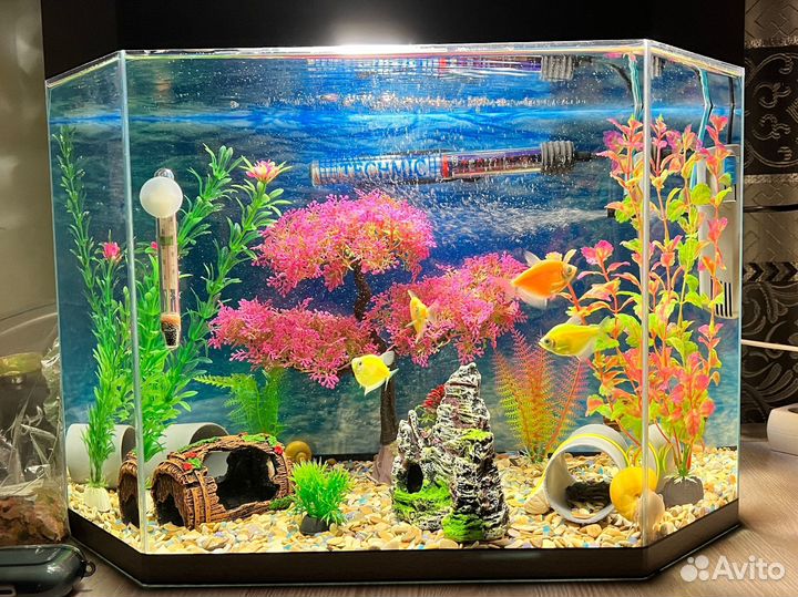 Аквариум
