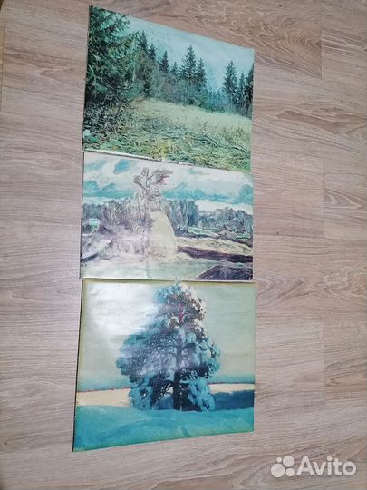 Картина маслом на холсте бу