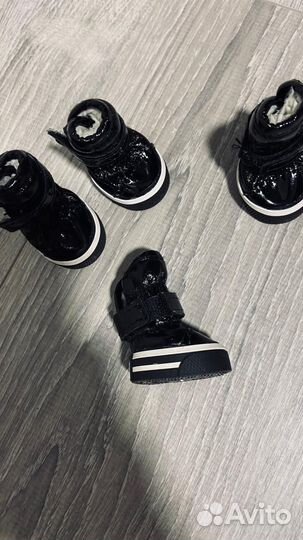 Обувь для маленьких собак