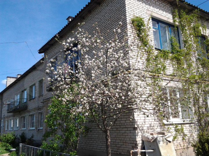 3-к. квартира, 68 м², 2/2 эт.