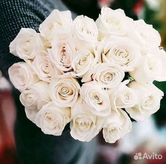 Розы Букеты Цветы Розы 31 101 151 201 Доставка