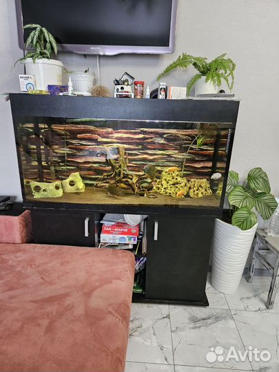 Аквариум