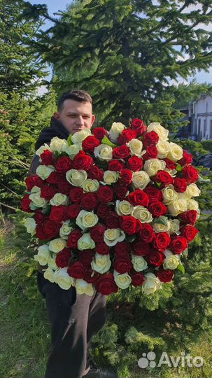 Букет Голландских роз 101 шт