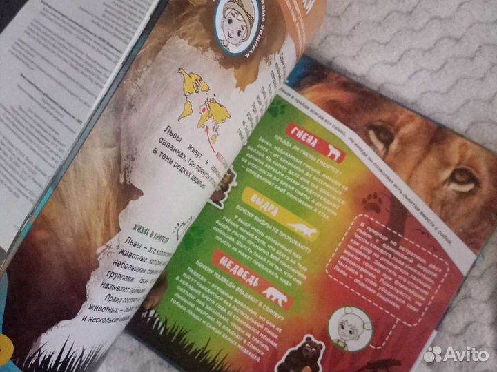 Энциклопедия животных в хорошем качестве для детей