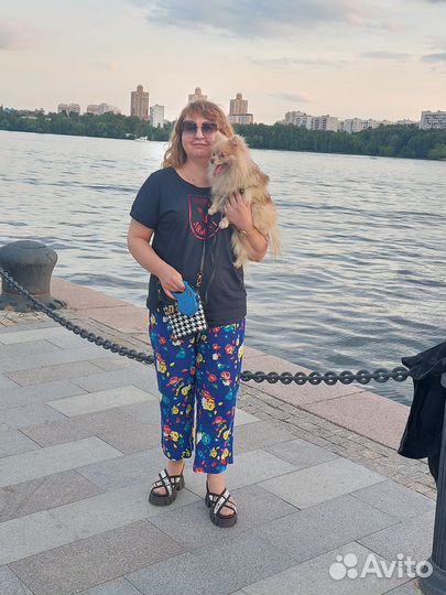 Померанский шпиц вязка кобель