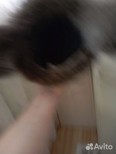 Шапка новая мужская енот размер 57