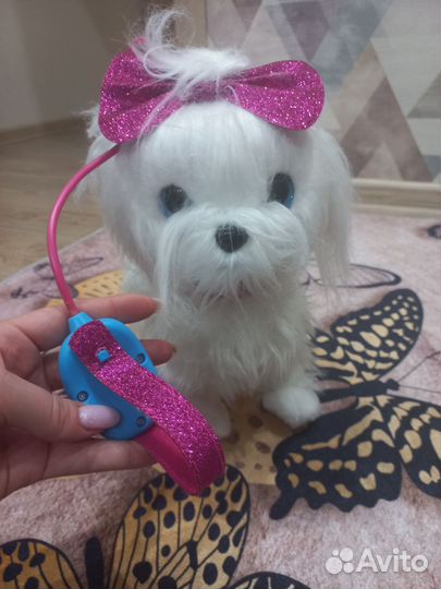 Маленькая собачка