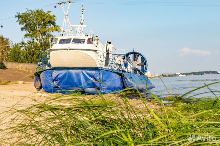 Судно на воздушной подушке 