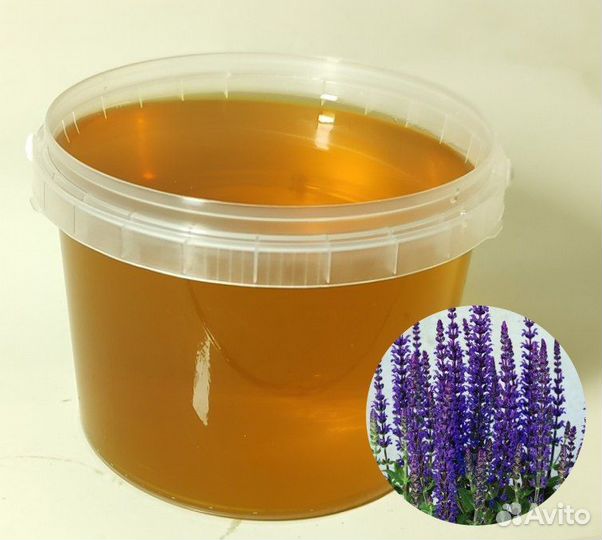 Шалфейный мед 2024