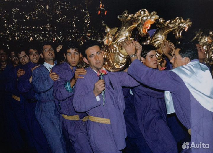 Фотокнига Joel Meyerowitz - Wild Flowers