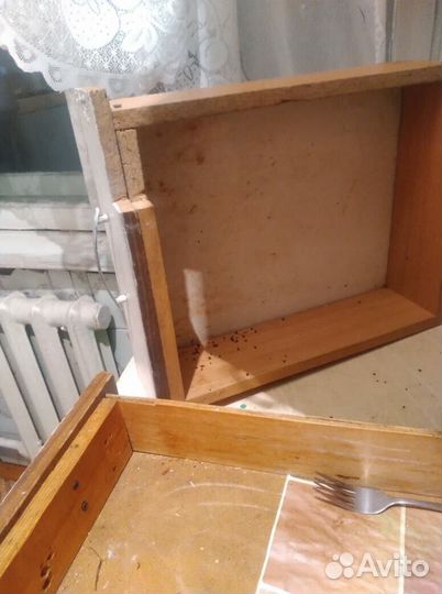 Уничтожение тараканов,клопов,мышей,плесени,запахов