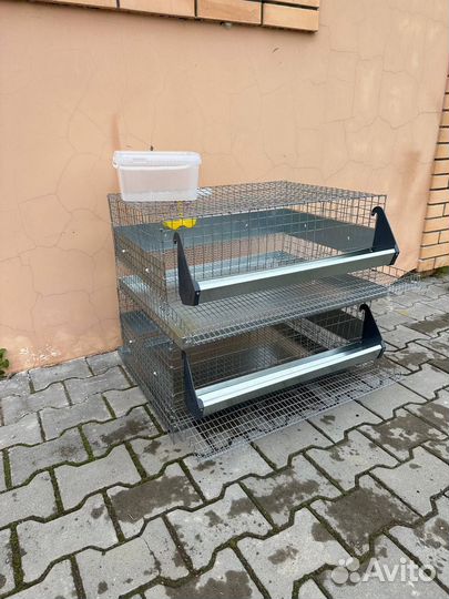 Клетки для перепелов на 60 голов