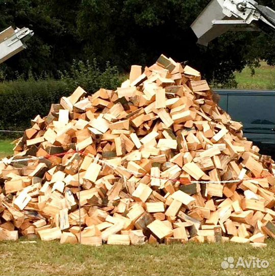 Дрова с Приморска