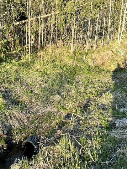 Участок 20 сот. (СНТ, ДНП)