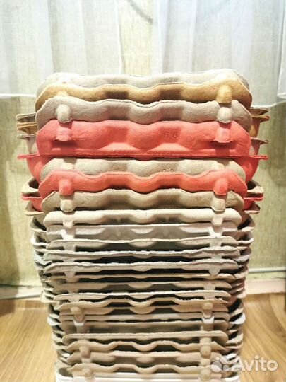 Упаковка (ячейка) для яиц по 10 штук