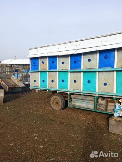 Продается пчелиный павильон