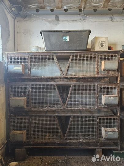 Клетки для кроликов бу