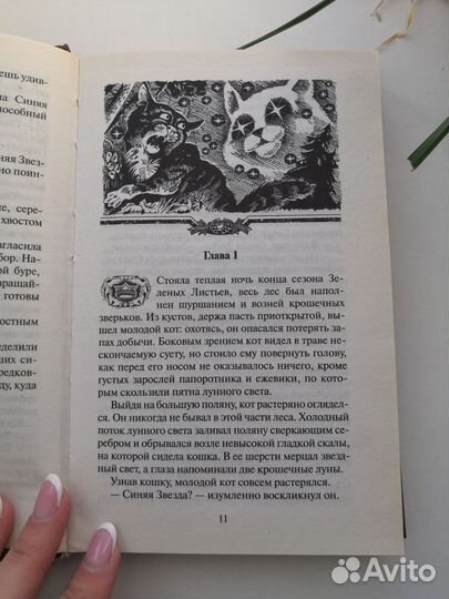 Книга Эрина Хантера 