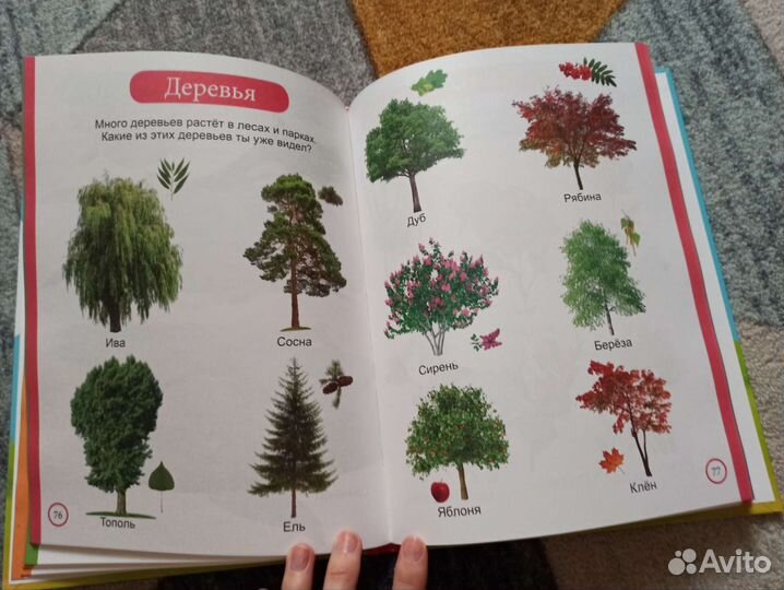 Первая книга для малыша