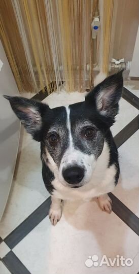 Девочка 4 года