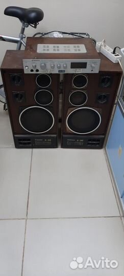 Акустика с усилителем Радиотехника