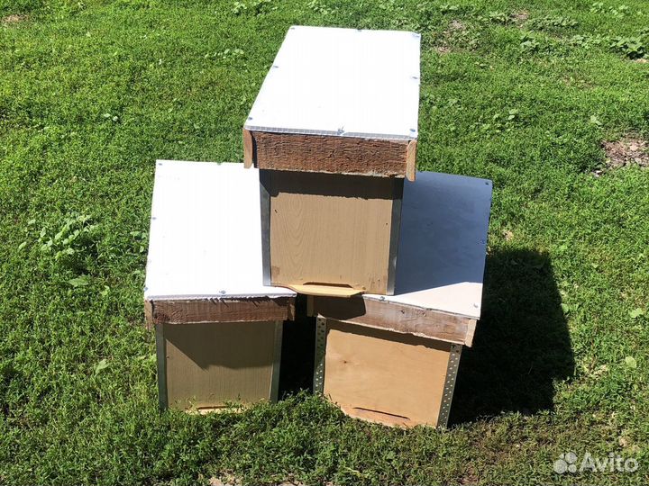 Ловушки для роев