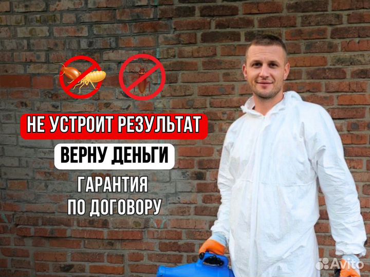 Уничтожение тараканов, клопов, плесени/Дезинфекция