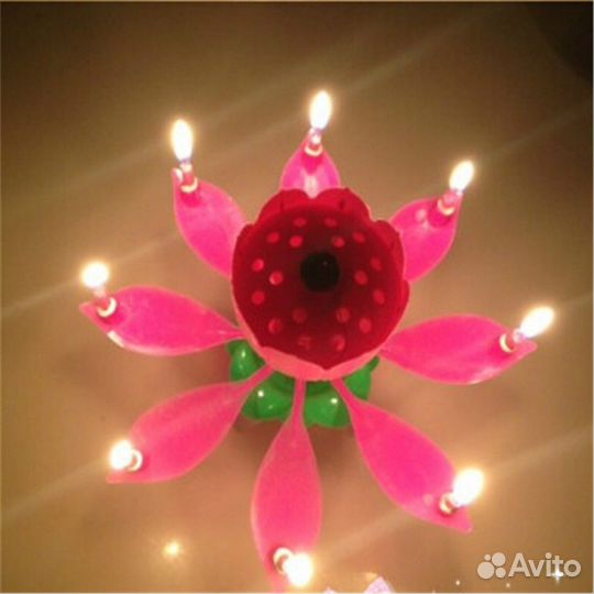 Музыкальный цветок (лотос, украшение на торт)