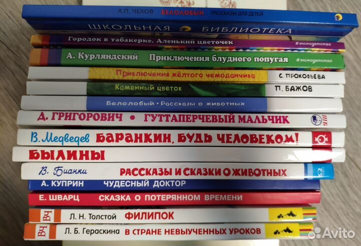 Школьная литература