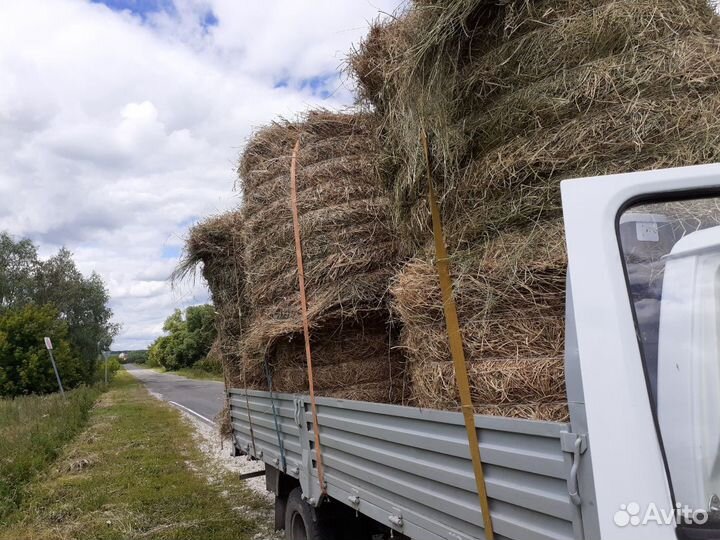 Солома, сено в рулонах