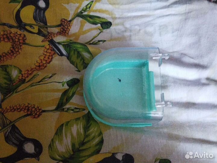 Ванночка для попугая