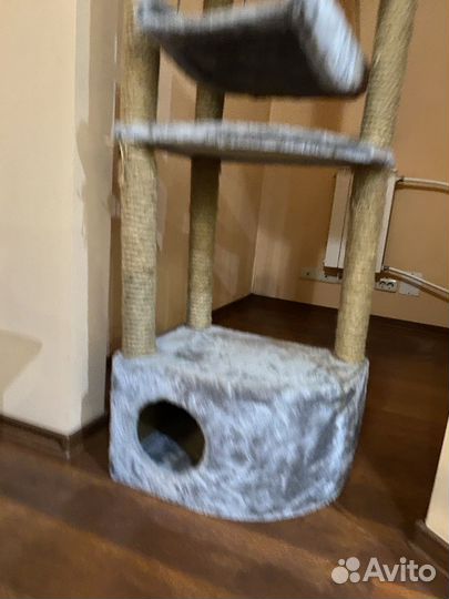 Когтеточка для кошек бу