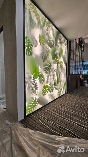 Фито бокс с наполнением