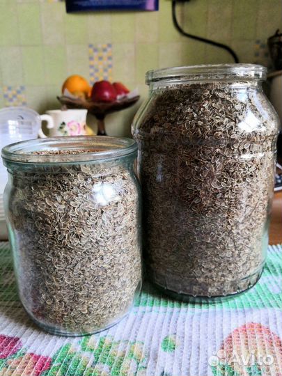 Укроп семена