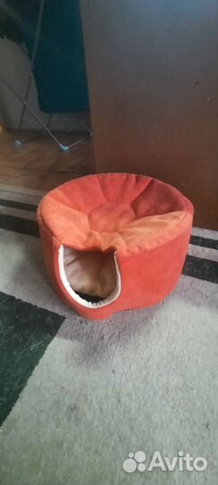 Домик лежанка для кошки