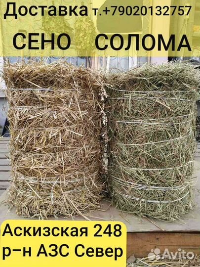 Продам сено в рулонах