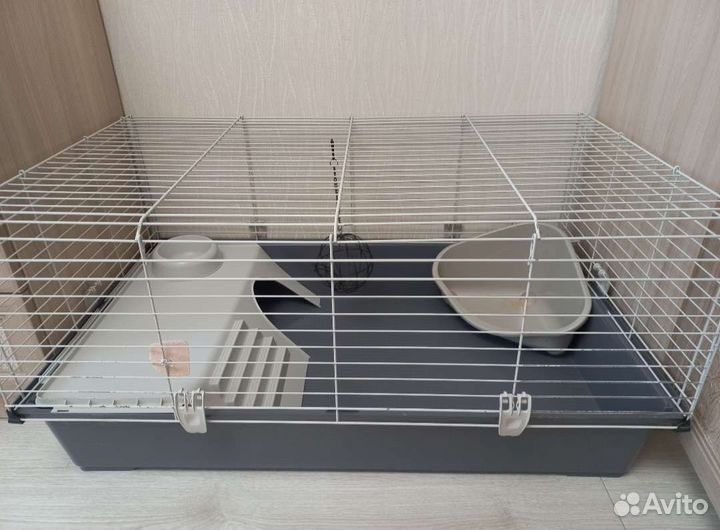 Кролик декоративный Баран