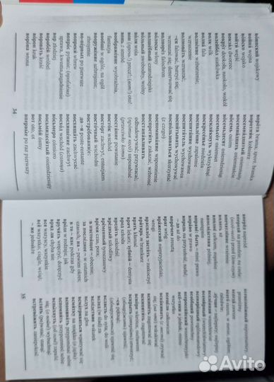 Польско-русский и русско-польский словарь