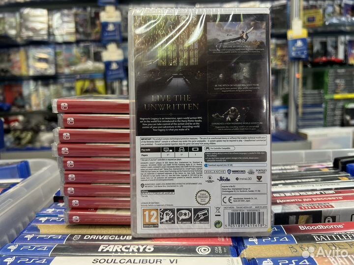 Hogwarts legacy nintendo switch