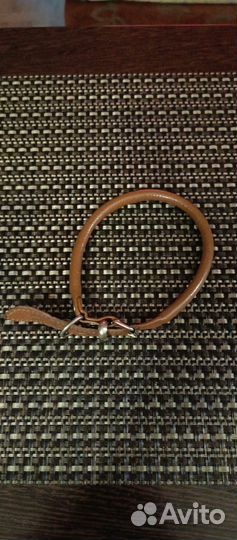 Шлейка и ошейник