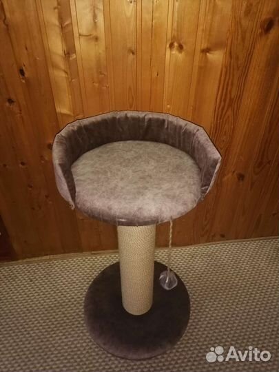 Когтеточка для кошки