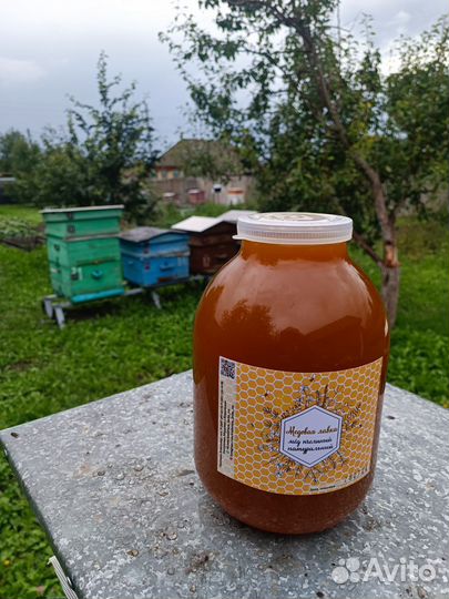 Мёд 2024 года