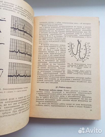 Кабанов А.Н. Физиология человека и животных 1965г