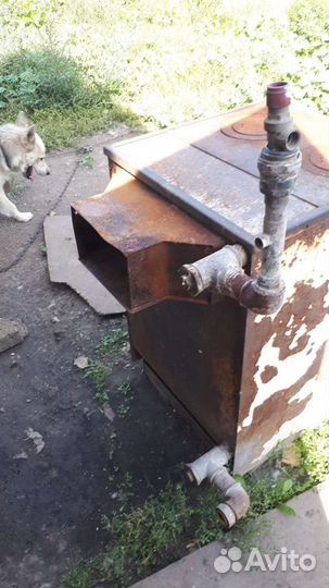 Катель тайга